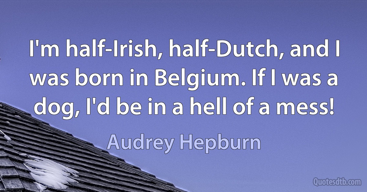 I'm half-Irish, half-Dutch, and I was born in Belgium. If I was a dog, I'd be in a hell of a mess! (Audrey Hepburn)