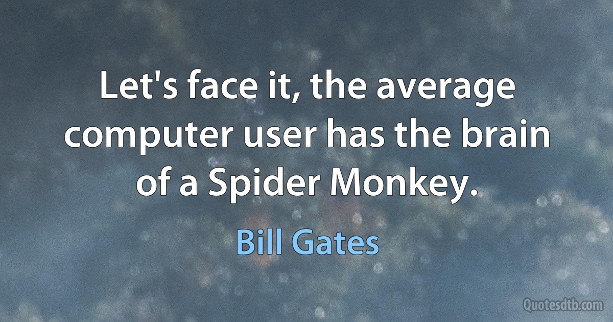 Let's face it, the average computer user has the brain of a Spider Monkey. (Bill Gates)