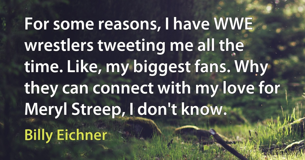 For some reasons, I have WWE wrestlers tweeting me all the time. Like, my biggest fans. Why they can connect with my love for Meryl Streep, I don't know. (Billy Eichner)