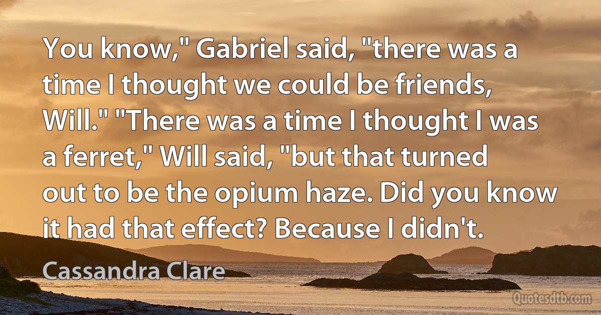 You know," Gabriel said, "there was a time I thought we could be friends, Will." "There was a time I thought I was a ferret," Will said, "but that turned out to be the opium haze. Did you know it had that effect? Because I didn't. (Cassandra Clare)