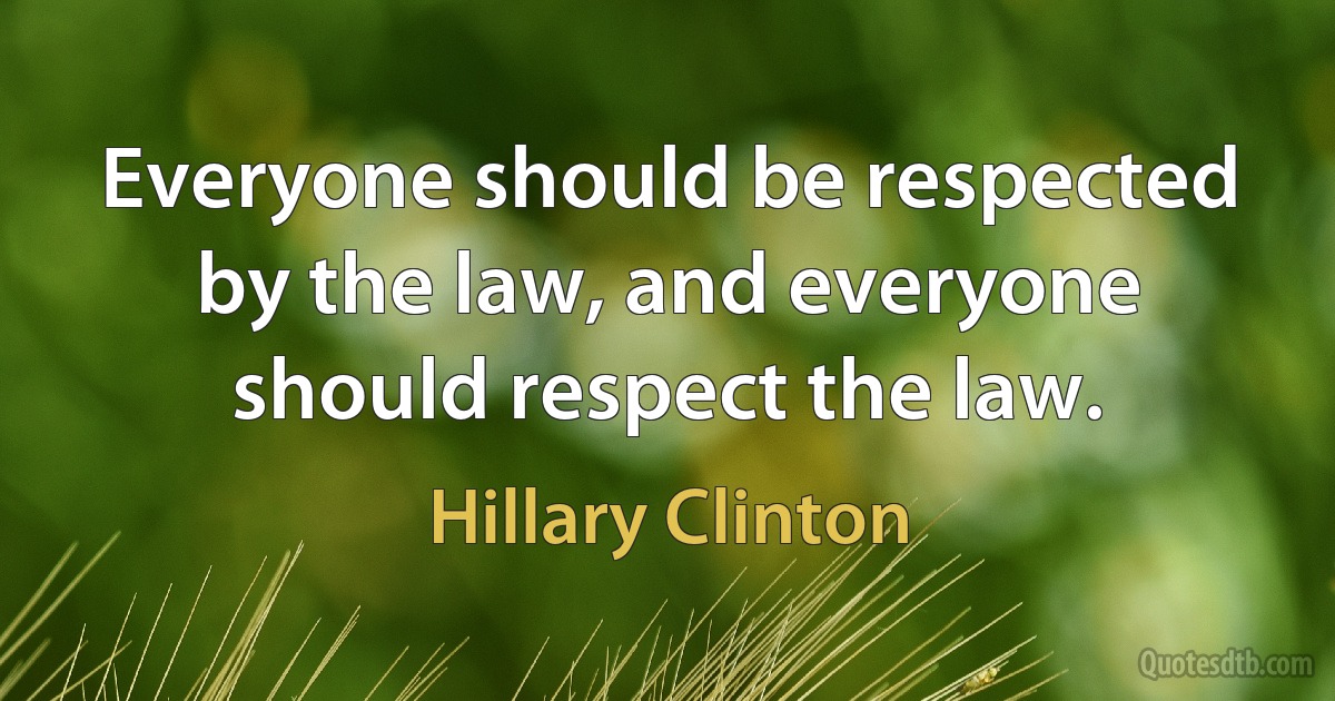 Everyone should be respected by the law, and everyone should respect the law. (Hillary Clinton)