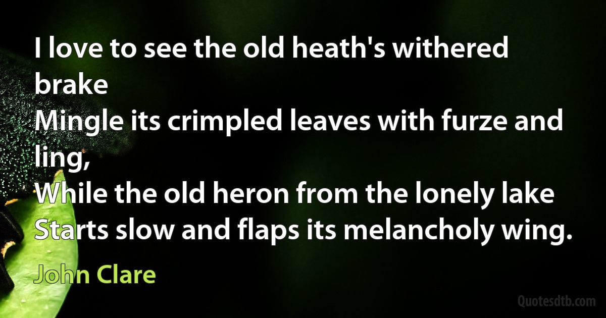 I love to see the old heath's withered brake
Mingle its crimpled leaves with furze and ling,
While the old heron from the lonely lake
Starts slow and flaps its melancholy wing. (John Clare)