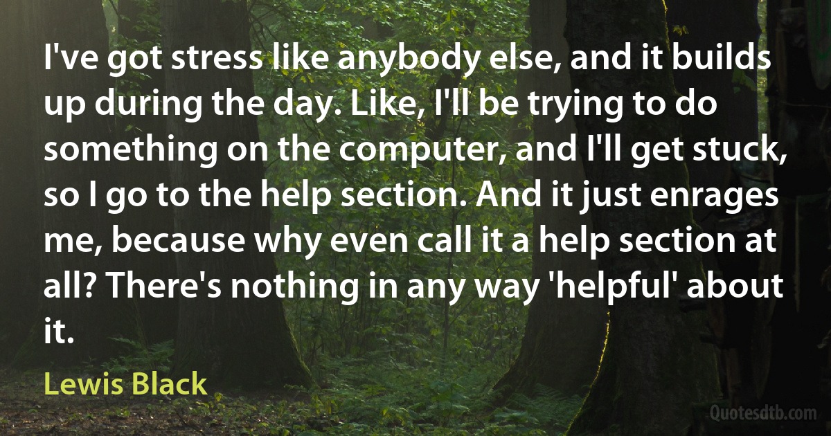 I've got stress like anybody else, and it builds up during the day. Like, I'll be trying to do something on the computer, and I'll get stuck, so I go to the help section. And it just enrages me, because why even call it a help section at all? There's nothing in any way 'helpful' about it. (Lewis Black)