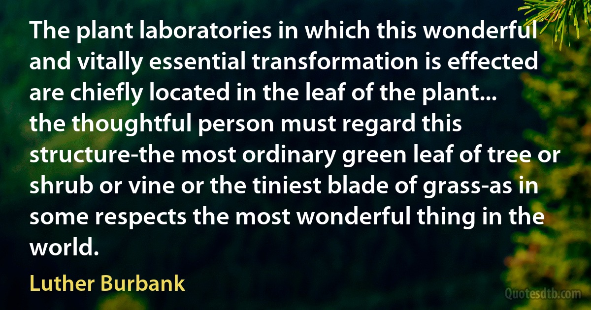 The plant laboratories in which this wonderful and vitally essential transformation is effected are chiefly located in the leaf of the plant... the thoughtful person must regard this structure-the most ordinary green leaf of tree or shrub or vine or the tiniest blade of grass-as in some respects the most wonderful thing in the world. (Luther Burbank)