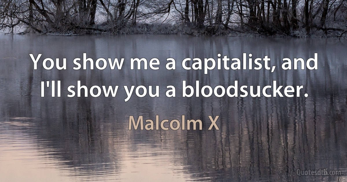 You show me a capitalist, and I'll show you a bloodsucker. (Malcolm X)