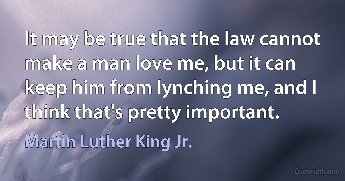 It may be true that the law cannot make a man love me, but it can keep him from lynching me, and I think that's pretty important. (Martin Luther King Jr.)