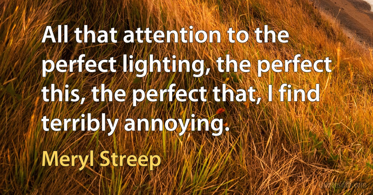 All that attention to the perfect lighting, the perfect this, the perfect that, I find terribly annoying. (Meryl Streep)