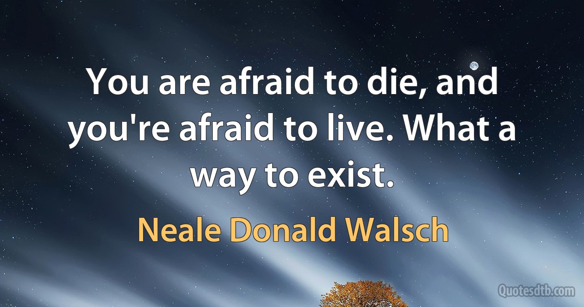 You are afraid to die, and you're afraid to live. What a way to exist. (Neale Donald Walsch)