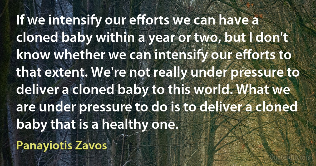 If we intensify our efforts we can have a cloned baby within a year or two, but I don't know whether we can intensify our efforts to that extent. We're not really under pressure to deliver a cloned baby to this world. What we are under pressure to do is to deliver a cloned baby that is a healthy one. (Panayiotis Zavos)