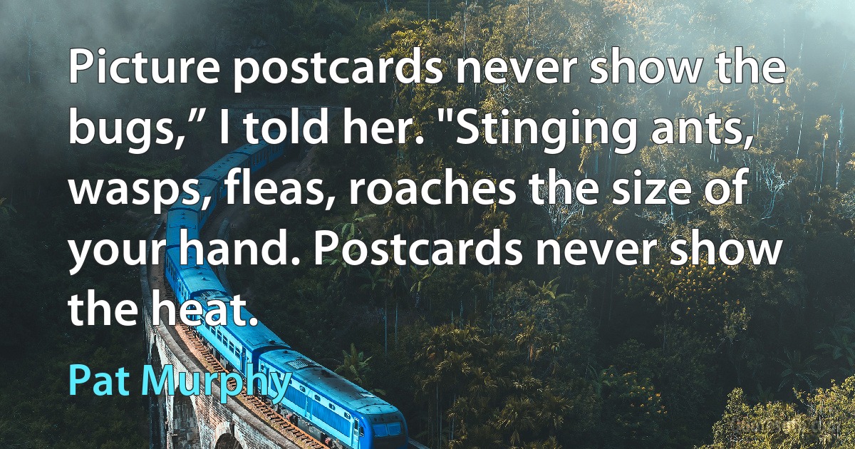 Picture postcards never show the bugs,” I told her. "Stinging ants, wasps, fleas, roaches the size of your hand. Postcards never show the heat. (Pat Murphy)