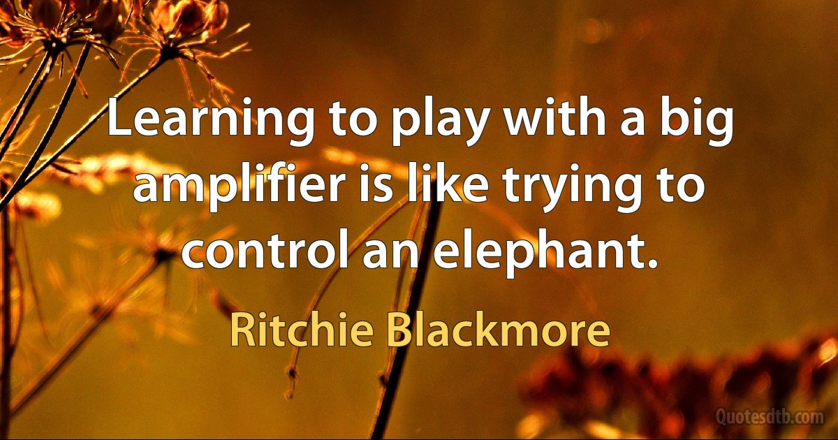 Learning to play with a big amplifier is like trying to control an elephant. (Ritchie Blackmore)