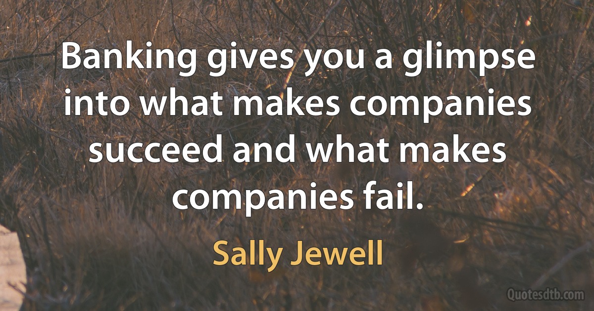 Banking gives you a glimpse into what makes companies succeed and what makes companies fail. (Sally Jewell)