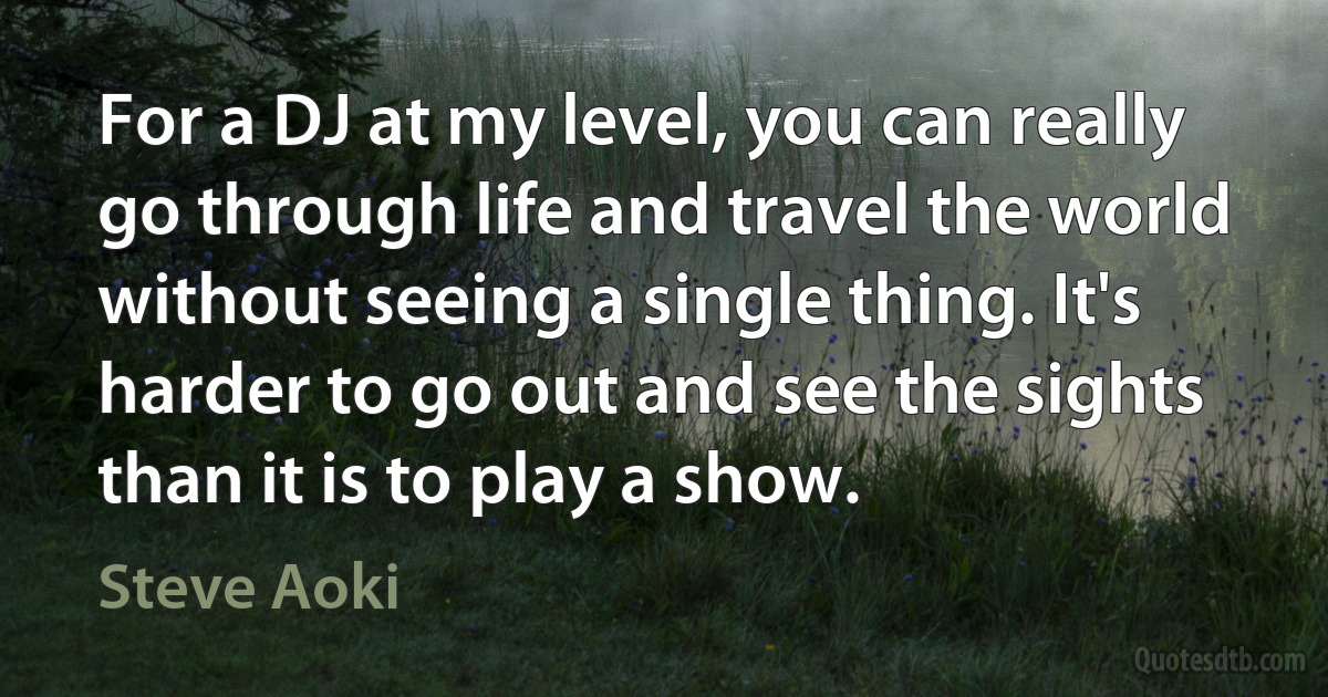 For a DJ at my level, you can really go through life and travel the world without seeing a single thing. It's harder to go out and see the sights than it is to play a show. (Steve Aoki)