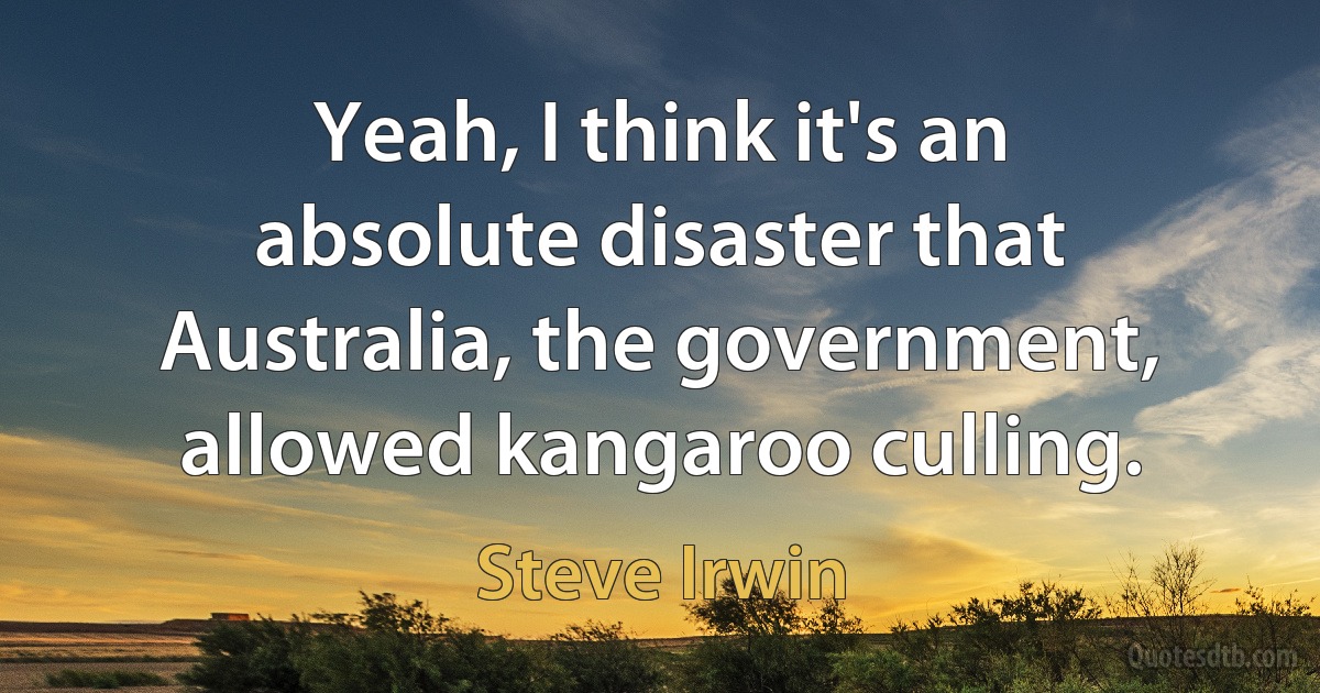 Yeah, I think it's an absolute disaster that Australia, the government, allowed kangaroo culling. (Steve Irwin)