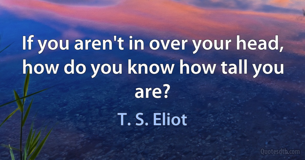 If you aren't in over your head, how do you know how tall you are? (T. S. Eliot)