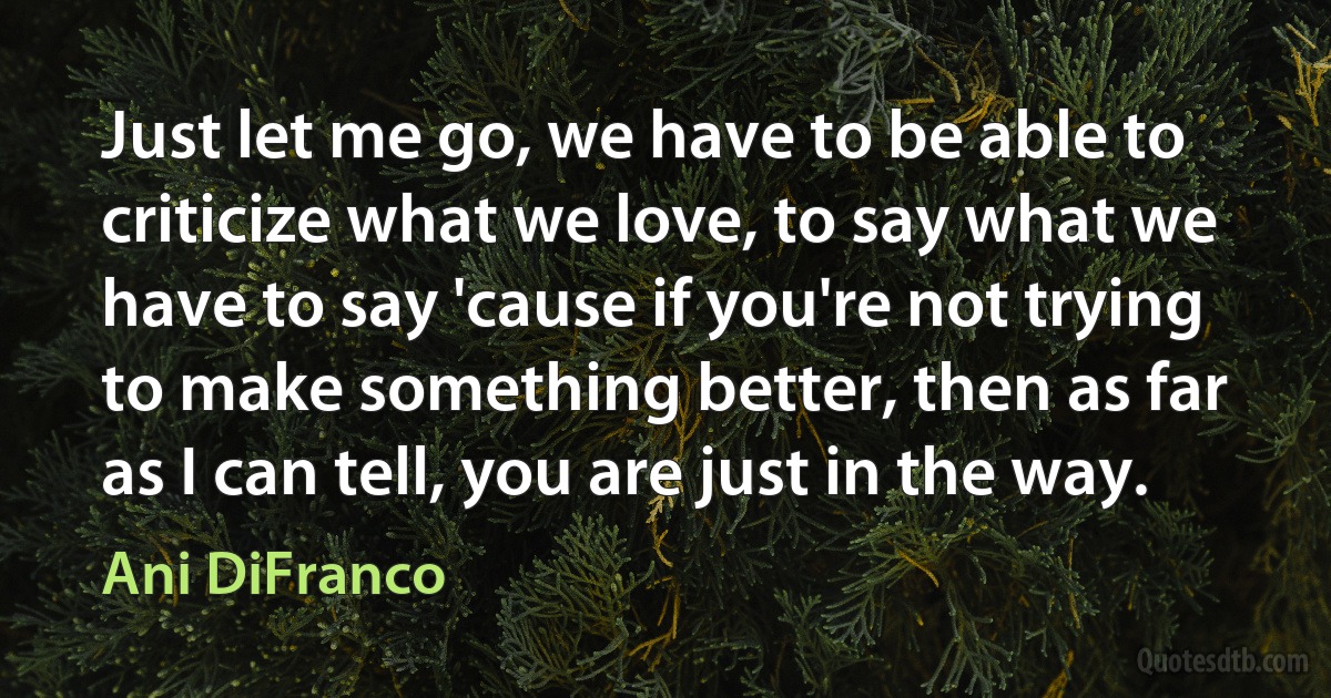 Just let me go, we have to be able to criticize what we love, to say what we have to say 'cause if you're not trying to make something better, then as far as I can tell, you are just in the way. (Ani DiFranco)