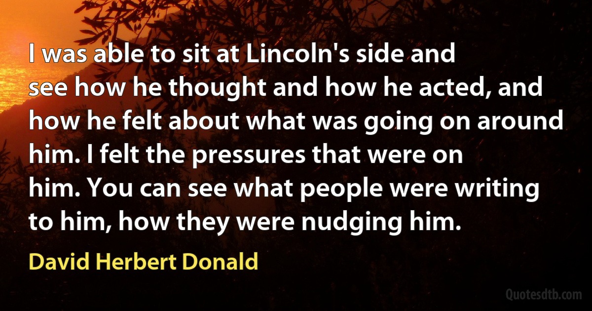 I was able to sit at Lincoln's side and see how he thought and how he acted, and how he felt about what was going on around him. I felt the pressures that were on him. You can see what people were writing to him, how they were nudging him. (David Herbert Donald)