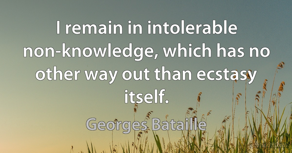 I remain in intolerable non-knowledge, which has no other way out than ecstasy itself. (Georges Bataille)