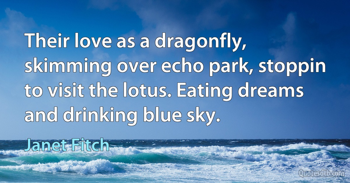 Their love as a dragonfly, skimming over echo park, stoppin to visit the lotus. Eating dreams and drinking blue sky. (Janet Fitch)