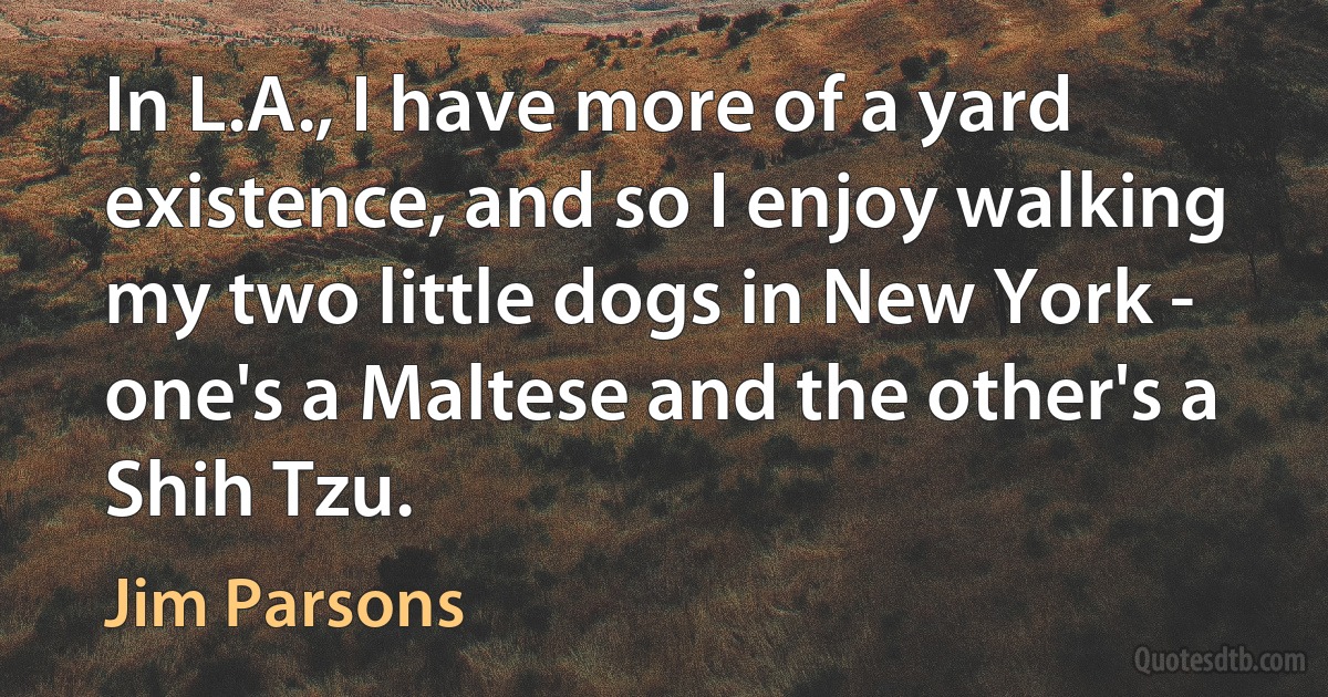 In L.A., I have more of a yard existence, and so I enjoy walking my two little dogs in New York - one's a Maltese and the other's a Shih Tzu. (Jim Parsons)