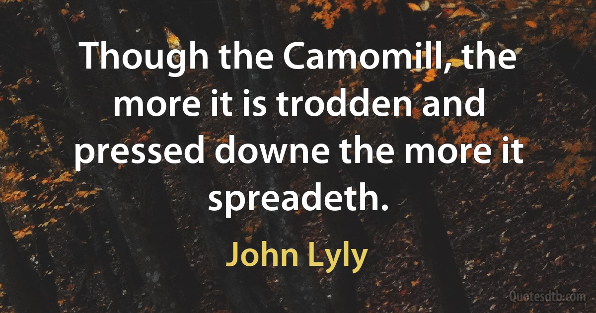 Though the Camomill, the more it is trodden and pressed downe the more it spreadeth. (John Lyly)