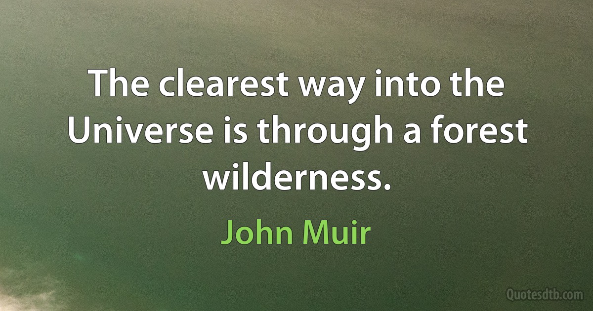 The clearest way into the Universe is through a forest wilderness. (John Muir)