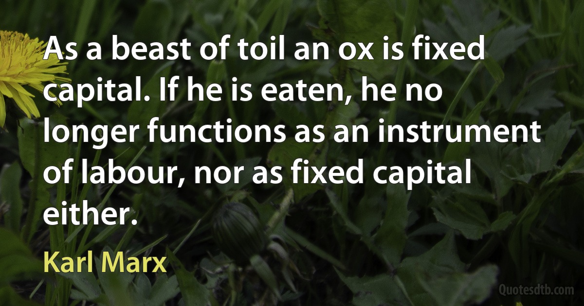 As a beast of toil an ox is fixed capital. If he is eaten, he no longer functions as an instrument of labour, nor as fixed capital either. (Karl Marx)