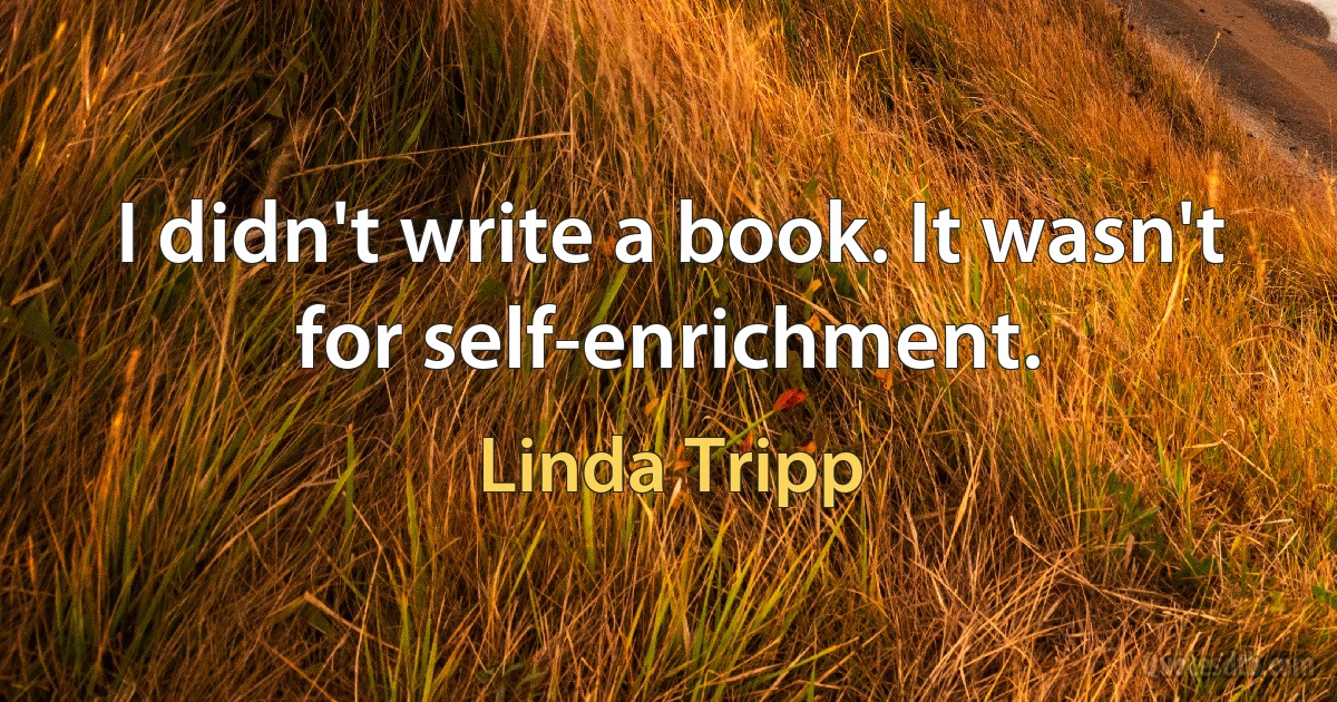 I didn't write a book. It wasn't for self-enrichment. (Linda Tripp)