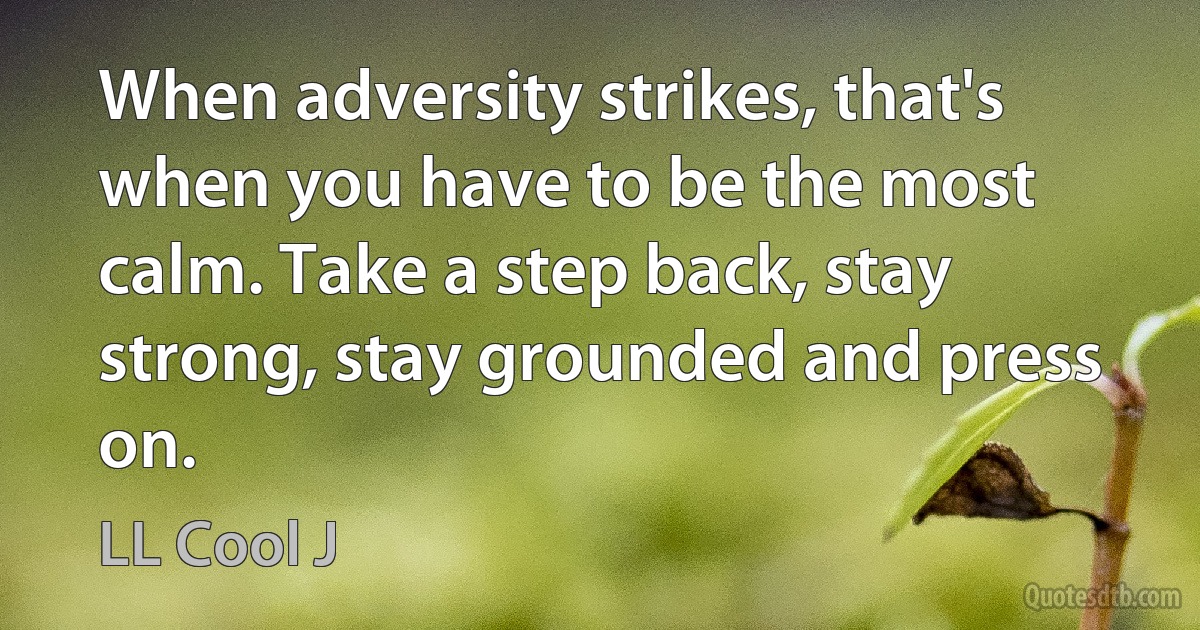 When adversity strikes, that's when you have to be the most calm. Take a step back, stay strong, stay grounded and press on. (LL Cool J)