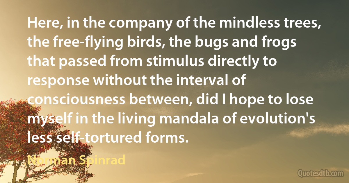 Here, in the company of the mindless trees, the free-flying birds, the bugs and frogs that passed from stimulus directly to response without the interval of consciousness between, did I hope to lose myself in the living mandala of evolution's less self-tortured forms. (Norman Spinrad)