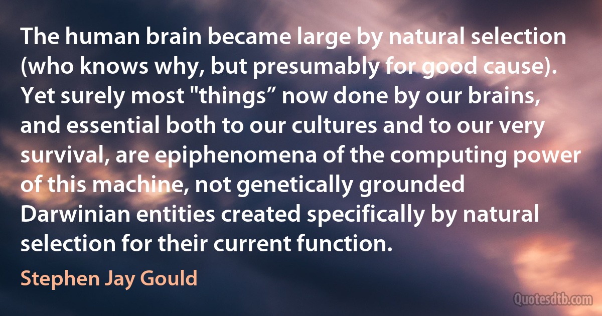 The human brain became large by natural selection (who knows why, but presumably for good cause). Yet surely most "things” now done by our brains, and essential both to our cultures and to our very survival, are epiphenomena of the computing power of this machine, not genetically grounded Darwinian entities created specifically by natural selection for their current function. (Stephen Jay Gould)