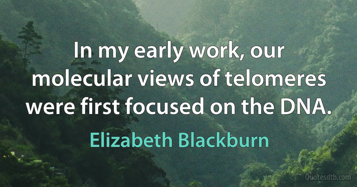 In my early work, our molecular views of telomeres were first focused on the DNA. (Elizabeth Blackburn)