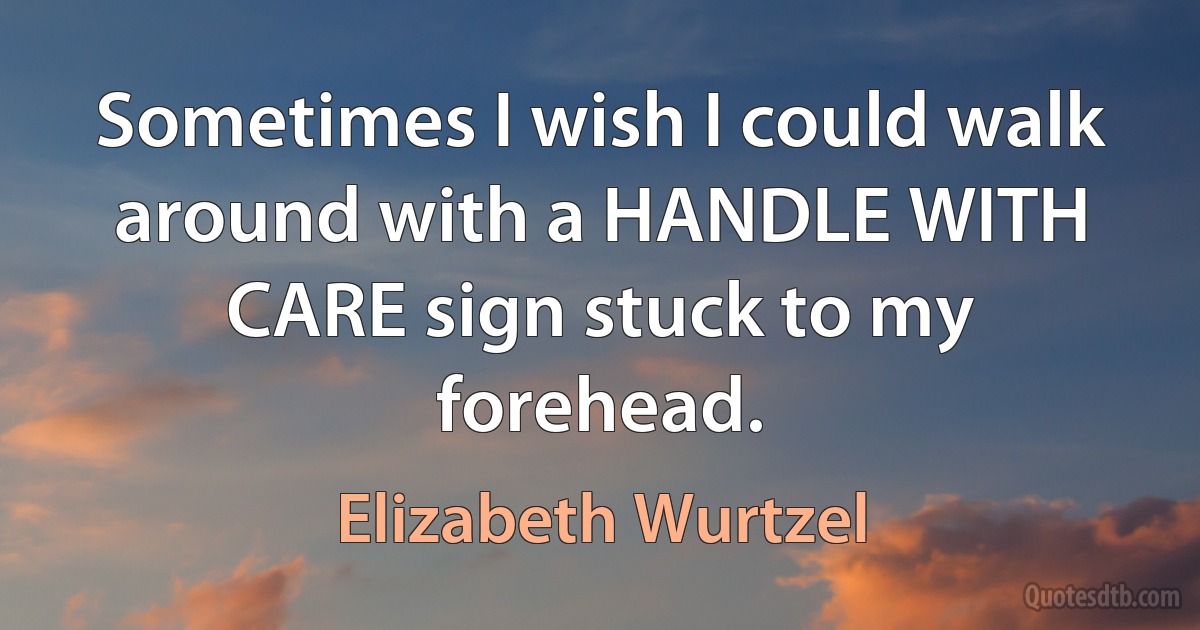 Sometimes I wish I could walk around with a HANDLE WITH CARE sign stuck to my forehead. (Elizabeth Wurtzel)