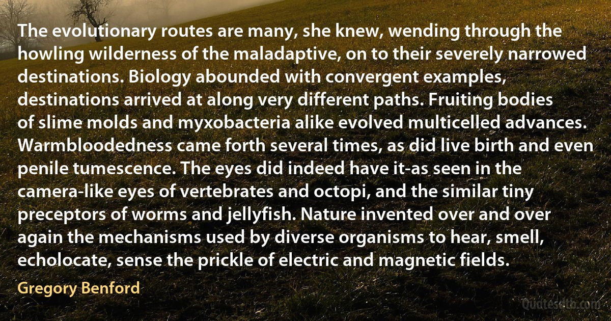 The evolutionary routes are many, she knew, wending through the howling wilderness of the maladaptive, on to their severely narrowed destinations. Biology abounded with convergent examples, destinations arrived at along very different paths. Fruiting bodies of slime molds and myxobacteria alike evolved multicelled advances. Warmbloodedness came forth several times, as did live birth and even penile tumescence. The eyes did indeed have it-as seen in the camera-like eyes of vertebrates and octopi, and the similar tiny preceptors of worms and jellyfish. Nature invented over and over again the mechanisms used by diverse organisms to hear, smell, echolocate, sense the prickle of electric and magnetic fields. (Gregory Benford)