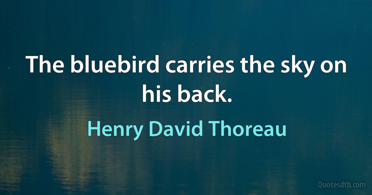 The bluebird carries the sky on his back. (Henry David Thoreau)