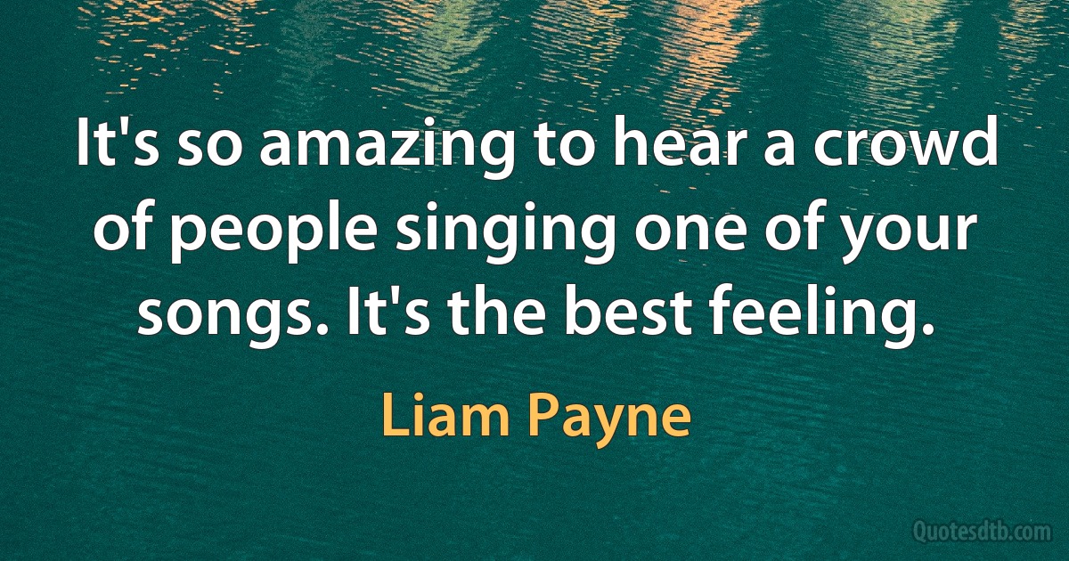 It's so amazing to hear a crowd of people singing one of your songs. It's the best feeling. (Liam Payne)