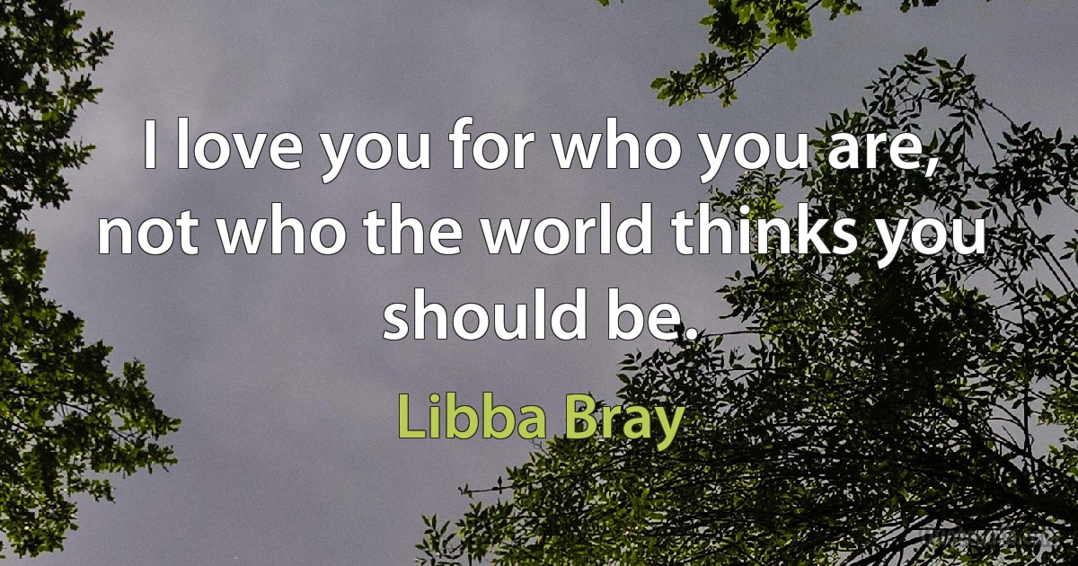 I love you for who you are, not who the world thinks you should be. (Libba Bray)