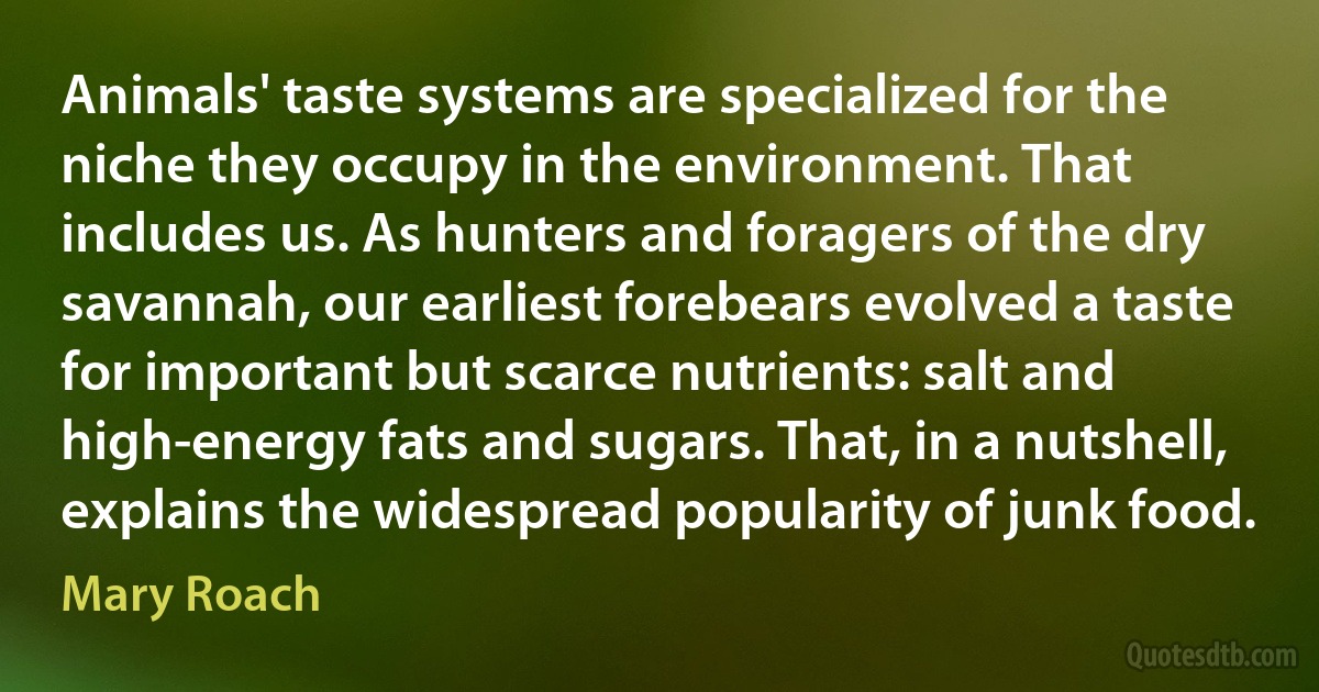 Animals' taste systems are specialized for the niche they occupy in the environment. That includes us. As hunters and foragers of the dry savannah, our earliest forebears evolved a taste for important but scarce nutrients: salt and high-energy fats and sugars. That, in a nutshell, explains the widespread popularity of junk food. (Mary Roach)