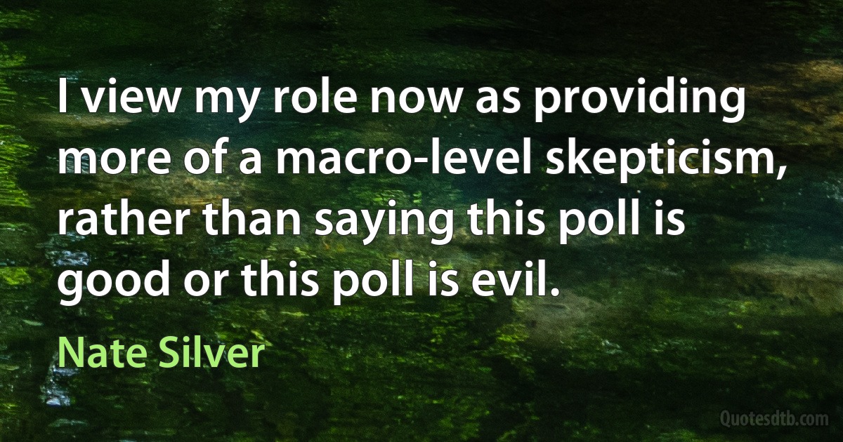 I view my role now as providing more of a macro-level skepticism, rather than saying this poll is good or this poll is evil. (Nate Silver)