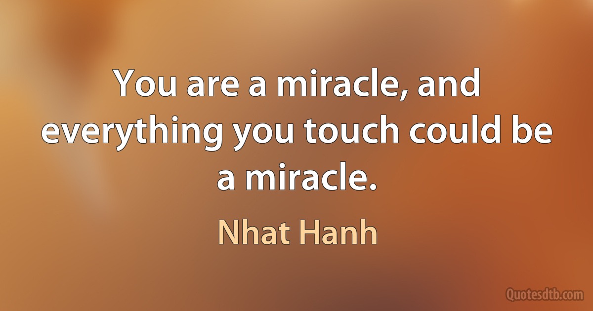 You are a miracle, and everything you touch could be a miracle. (Nhat Hanh)