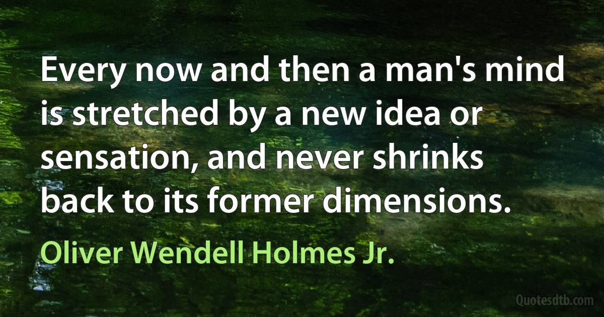 Every now and then a man's mind is stretched by a new idea or sensation, and never shrinks back to its former dimensions. (Oliver Wendell Holmes Jr.)