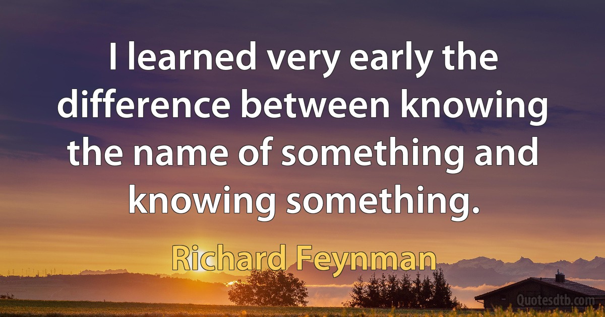 I learned very early the difference between knowing the name of something and knowing something. (Richard Feynman)