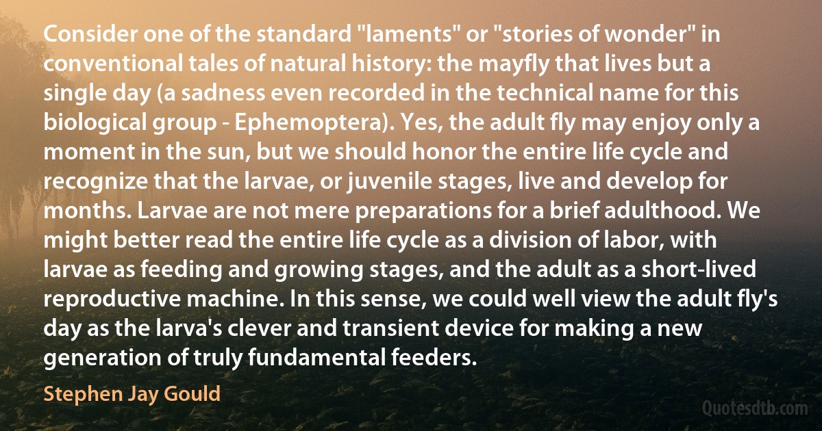 Consider one of the standard "laments" or "stories of wonder" in conventional tales of natural history: the mayfly that lives but a single day (a sadness even recorded in the technical name for this biological group - Ephemoptera). Yes, the adult fly may enjoy only a moment in the sun, but we should honor the entire life cycle and recognize that the larvae, or juvenile stages, live and develop for months. Larvae are not mere preparations for a brief adulthood. We might better read the entire life cycle as a division of labor, with larvae as feeding and growing stages, and the adult as a short-lived reproductive machine. In this sense, we could well view the adult fly's day as the larva's clever and transient device for making a new generation of truly fundamental feeders. (Stephen Jay Gould)