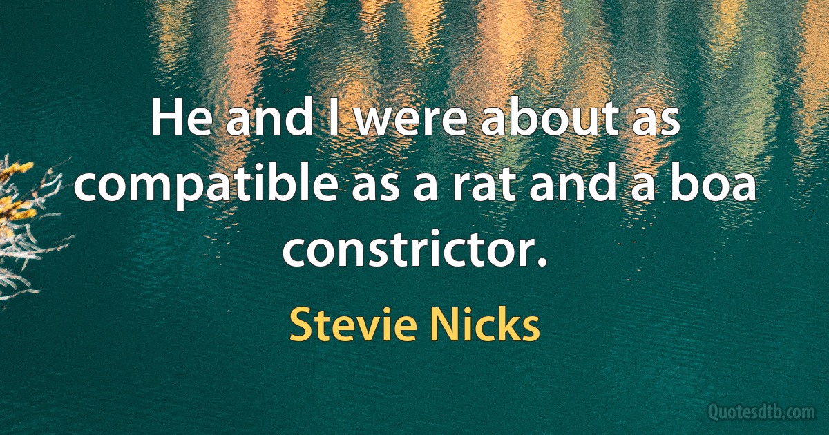 He and I were about as compatible as a rat and a boa constrictor. (Stevie Nicks)