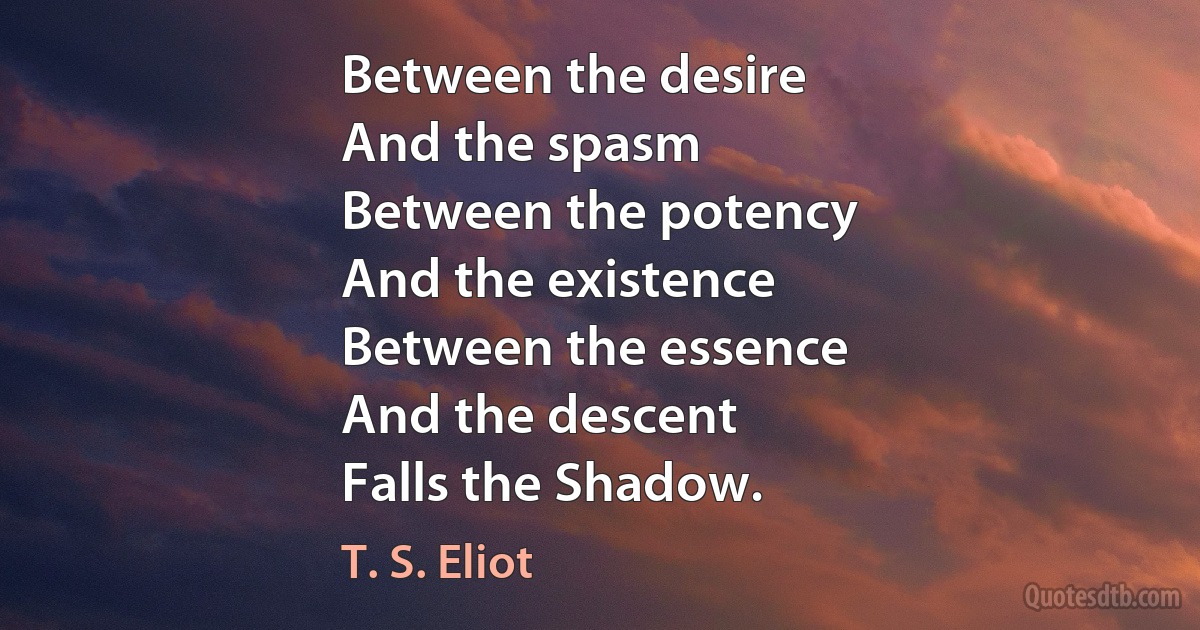 Between the desire
And the spasm
Between the potency
And the existence
Between the essence
And the descent
Falls the Shadow. (T. S. Eliot)