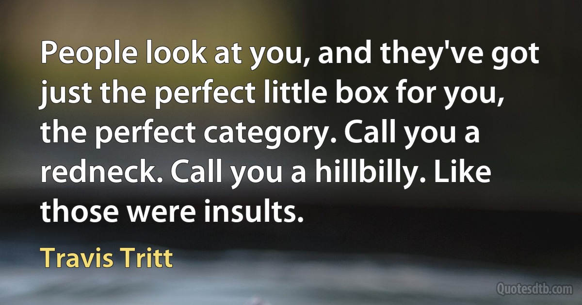 People look at you, and they've got just the perfect little box for you, the perfect category. Call you a redneck. Call you a hillbilly. Like those were insults. (Travis Tritt)