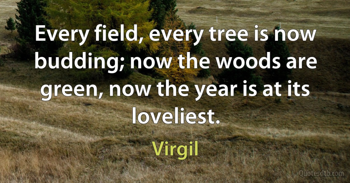 Every field, every tree is now budding; now the woods are green, now the year is at its loveliest. (Virgil)