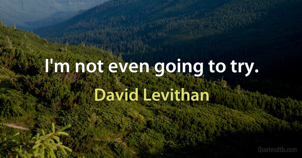 I'm not even going to try. (David Levithan)