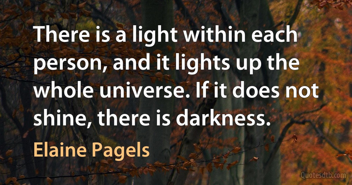 There is a light within each person, and it lights up the whole universe. If it does not shine, there is darkness. (Elaine Pagels)