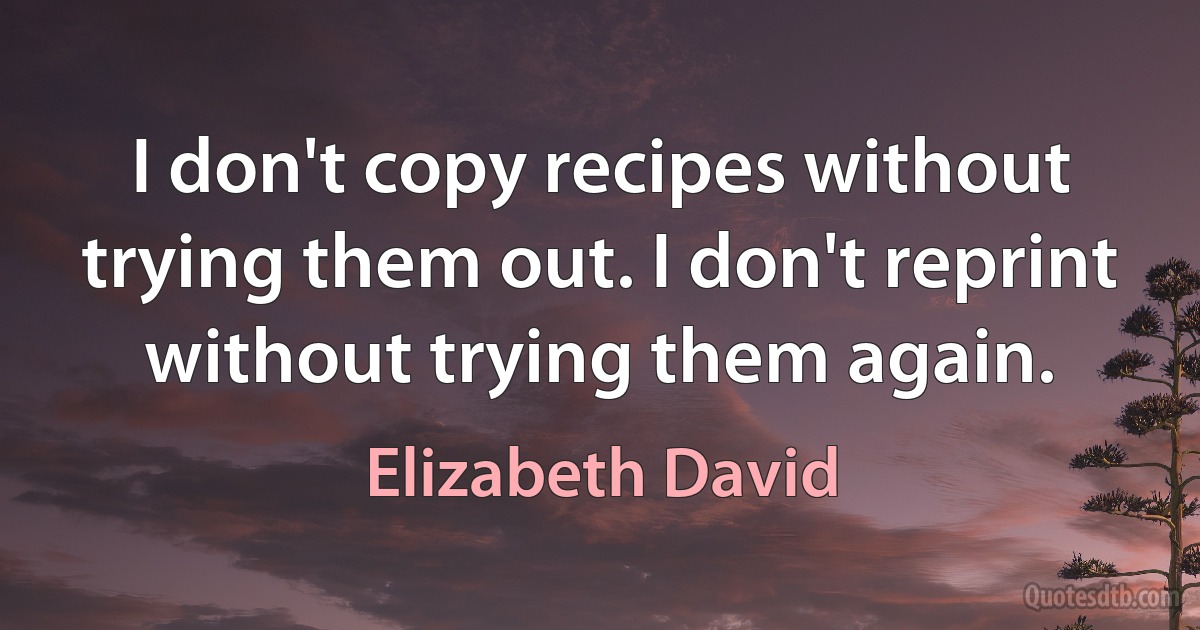 I don't copy recipes without trying them out. I don't reprint without trying them again. (Elizabeth David)